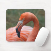 Phoenicopterus ruber mousepad (Mit Mouse)