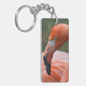 Phoenicopterus ruber schlüsselanhänger (Vorderseite links)