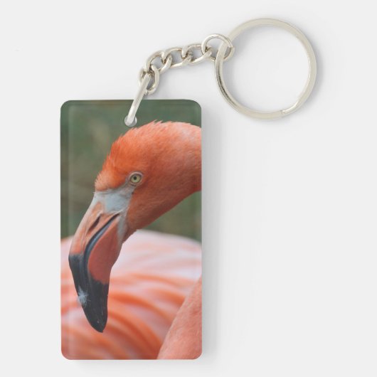 Phoenicopterus ruber schlüsselanhänger (Rückseite)