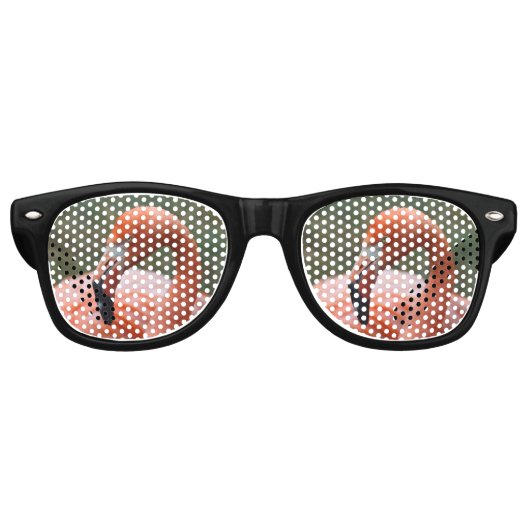 Phoenicopterus ruber sonnenbrille (Vorderseite)