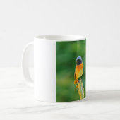 Phoenicurus ochruros kaffeetasse (Vorderseite Links)
