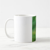 Phoenicurus ochruros kaffeetasse (Links)