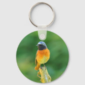 Phoenicurus ochruros schlüsselanhänger (Vorderseite)