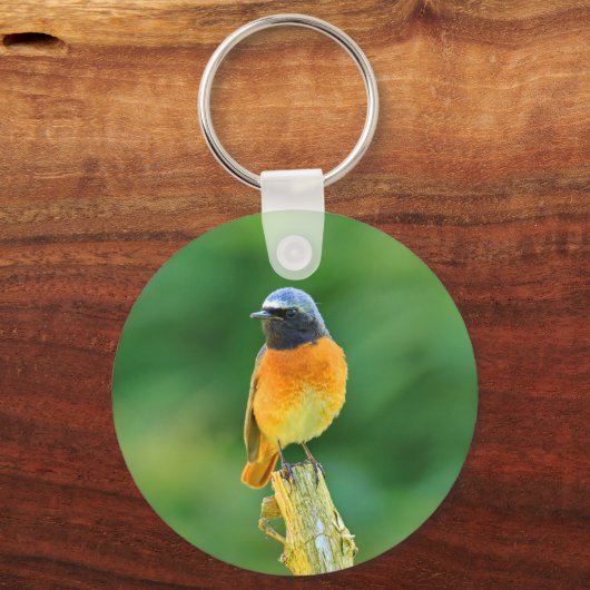 Phoenicurus ochruros schlüsselanhänger (Vorderseite)