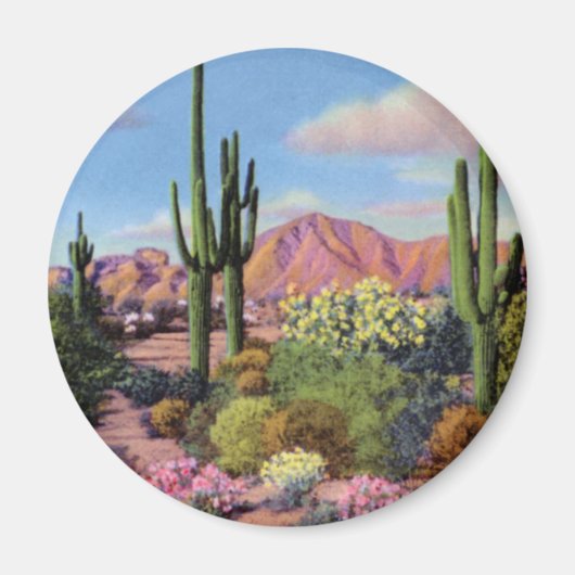 Phoenix Arizona Magnet (Vorne)
