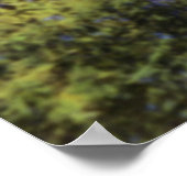 Phoenix Arizona Poster (Ecke)