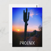 Phoenix Arizona Saguaro Cactus Sunset Souvenir Postkarte (Vorne/Hinten)