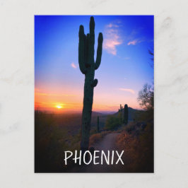 Phoenix Arizona Saguaro Cactus Sunset Souvenir Postkarte
