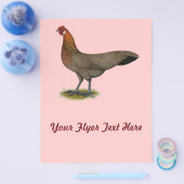 Phoenix: BB Red Hen Flyer (Einzeln)