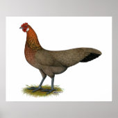 Phoenix: BB Red Hen Poster (Vorne)