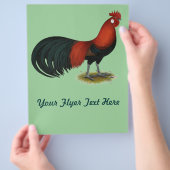 Phoenix: BB Red Rooster Flyer (Hand)