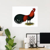 Phoenix: BB Red Rooster Poster (Heimbüro)
