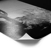 Phoenix Cactus Fotodruck (Ecke)