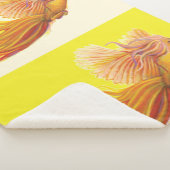 Phoenix - Der Vogel, der wiedergeboren wird Sherpadecke (3/4)