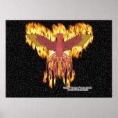 Phoenix Fire Poster (Vorne)