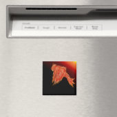 Phoenix Firebird Magnet (In Situ (Geschirrspüler))