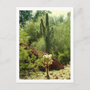 Phoenix Flora Postkarte