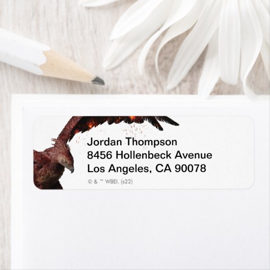 Phoenix Flying Graphic (Insitu)