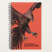 Phoenix Flying Graphic Planer (Vorderseite)