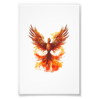 Phoenix Fotodruck