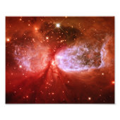 Phoenix Fotodruck (Vorne)