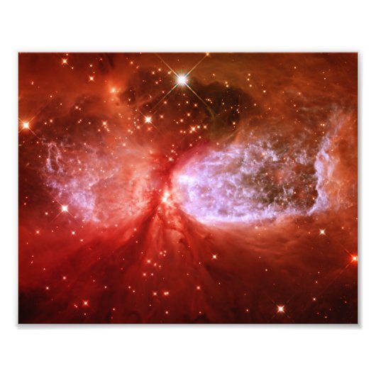 Phoenix Fotodruck (Vorne)