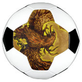 Phoenix Fußball (Gedreht)