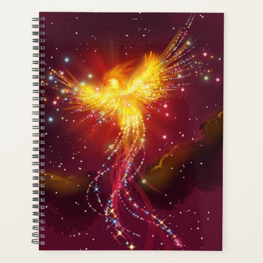 Phoenix im Flug Planer (Vorderseite)