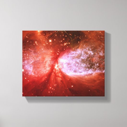 Phoenix Leinwanddruck (Vorderseite)