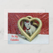 Phoenix-Liebe - Katze / Kitten Valentine Postkarte (Vorne/Hinten)