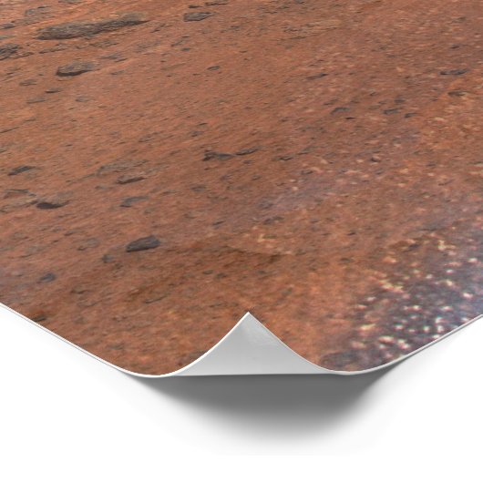 Phoenix Mars Lander 2 Poster (Ecke)