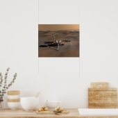 Phoenix Mars Lander 5 Poster (Küche)