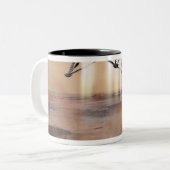 Phoenix Mars Lander Zweifarbige Tasse (Vorderseite Links)