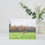 Phoenix Park Postcard Postkarte (Stehend Vorderseite)