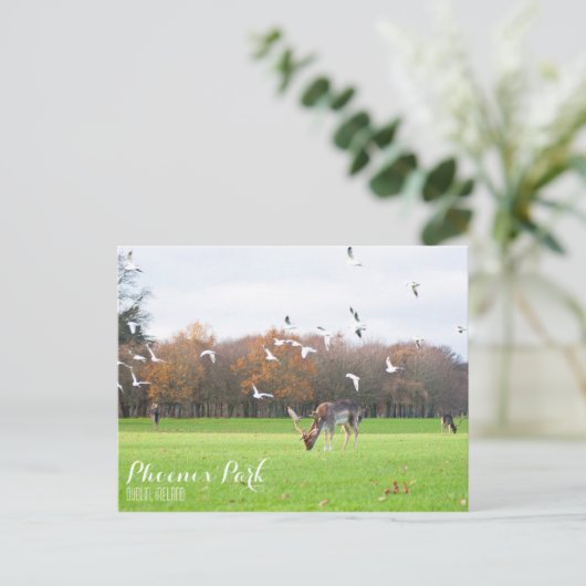 Phoenix Park Postcard Postkarte (Stehend Vorderseite)