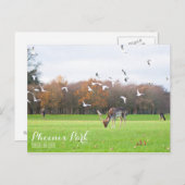 Phoenix Park Postcard Postkarte (Vorne/Hinten)