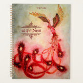 Phoenix Planer (Vorderseite)