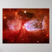 Phoenix Poster (Vorne)