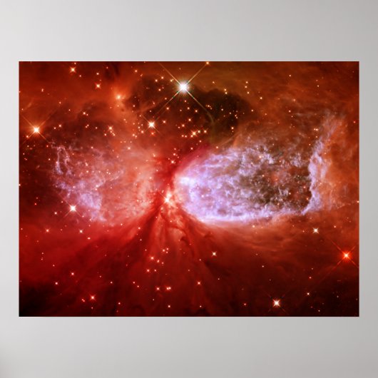 Phoenix Poster (Vorne)