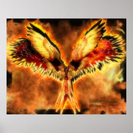 Phoenix Poster (Vorne)