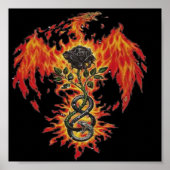 Phoenix-Poster Poster (Vorne)