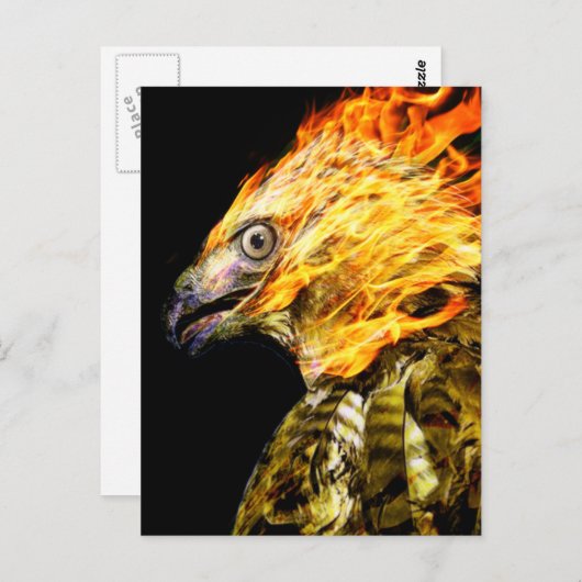 Phoenix Postkarte (Vorne/Hinten)