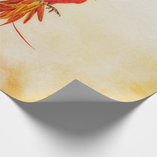 Phoenix Rising - #2 Geschenkpapier (Ecke)