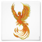 Phoenix Rising Foto Print (Vorne)