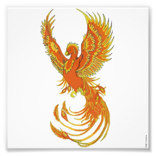 Phoenix Rising Foto Print (Vorne)