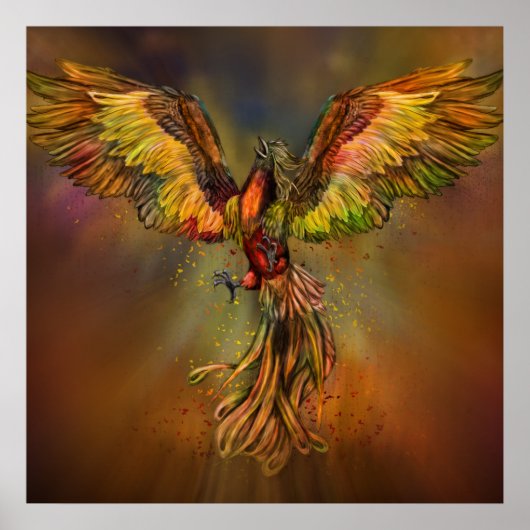 Phoenix Rising Poster (Vorne)