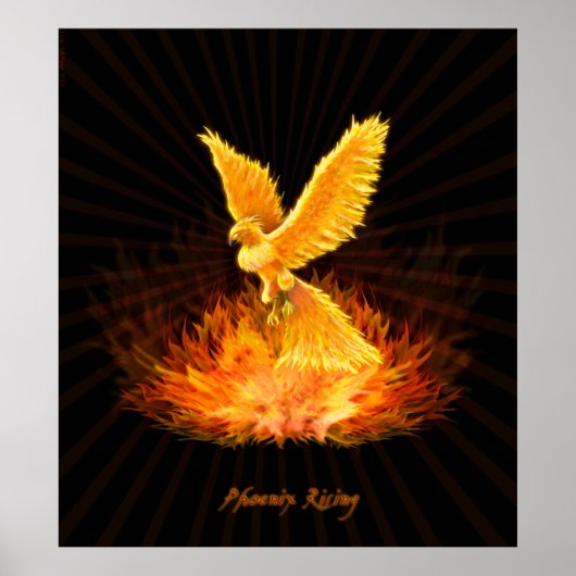 Phoenix Rising Poster (Vorne)
