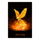 Phoenix Rising