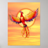 Phoenix Rising Poster (Vorne)