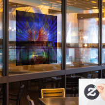 Phoenix Rising Window Cloning